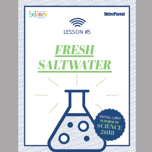 virtual-camp-lesson-5-2018-fresh-saltwater-guide-cover-preview