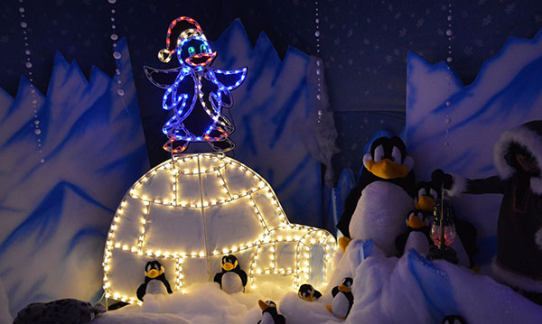 A light display at winter fantasy land in lincoln park