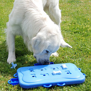 SPOT-Seek-a-Treat-Puzzle-and-Nina-Ottosen-Treat-Puzzle