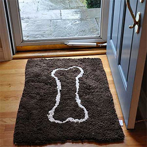 Soggy-Doggy-Doormats