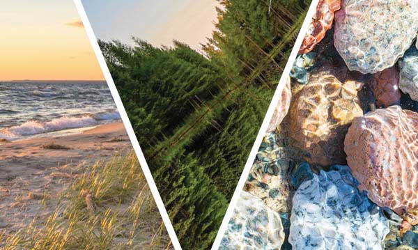 michigan-environmental-issues-that-affect-families-most-