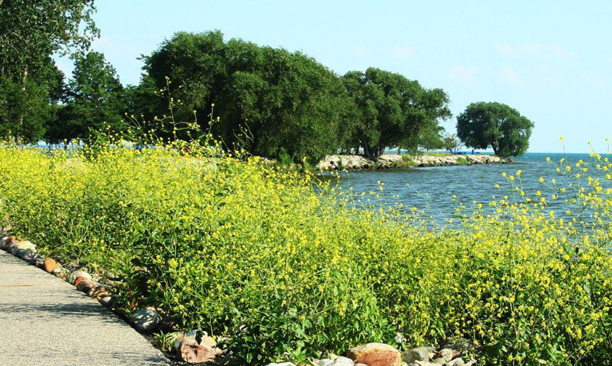 family-fun-at-lake-st-clair-metropark