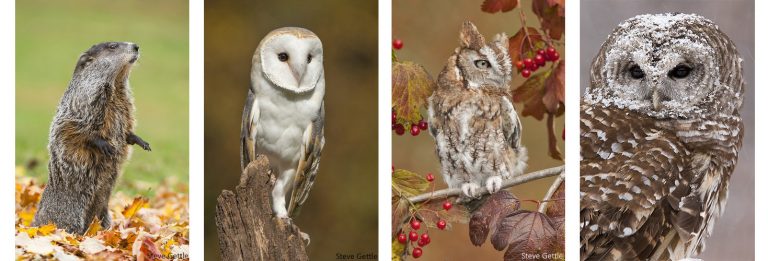 Photography Workshop: Building an Image at the Howell Nature Center
