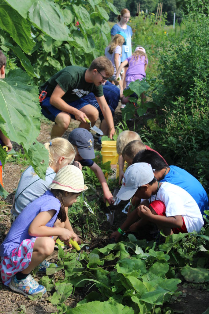 Starting and Sustaining a School Garden at the MSU Tollgate Farm & Education Center in Novi