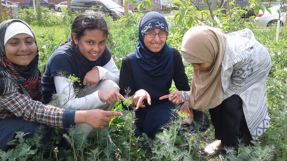 Volunteer Day at Tiny Acres in Hamtramck