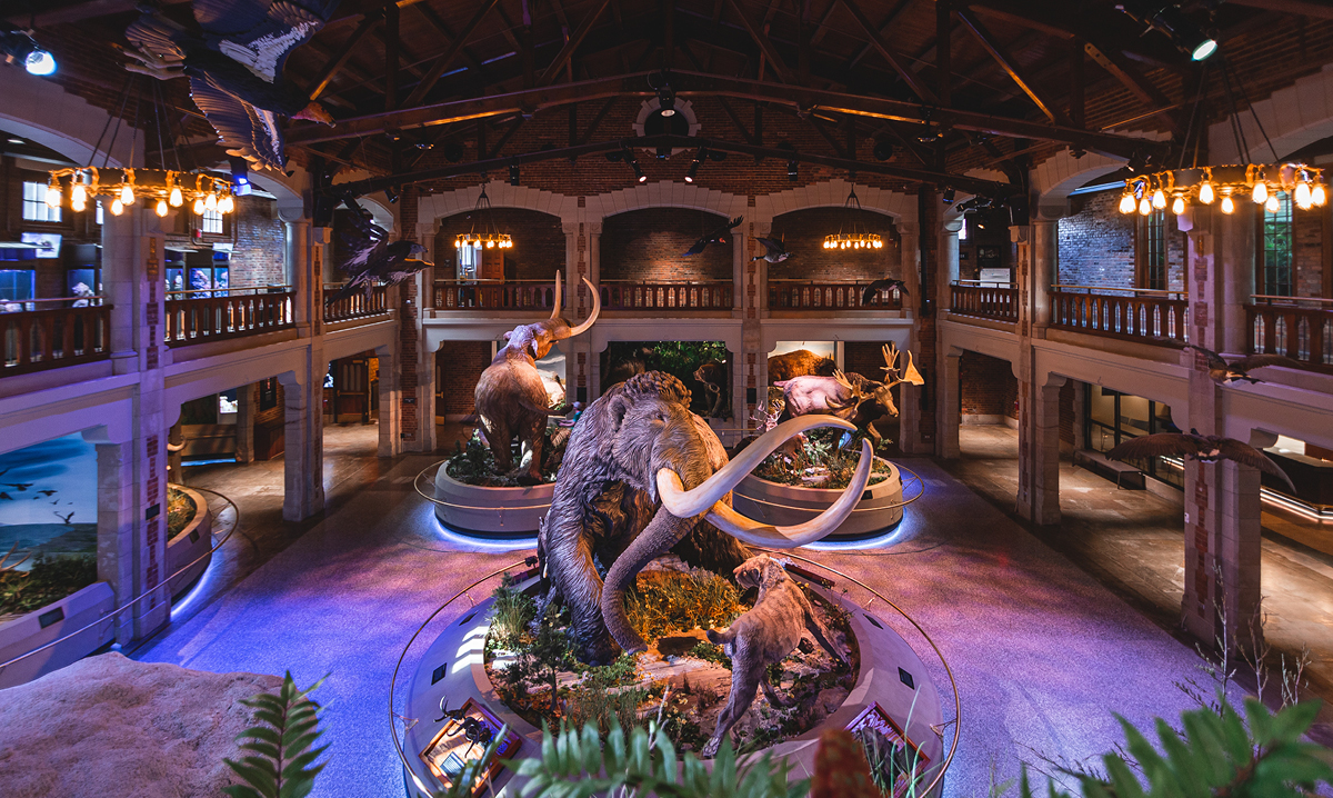 Win Passes to the Toledo Zoo in Ohio