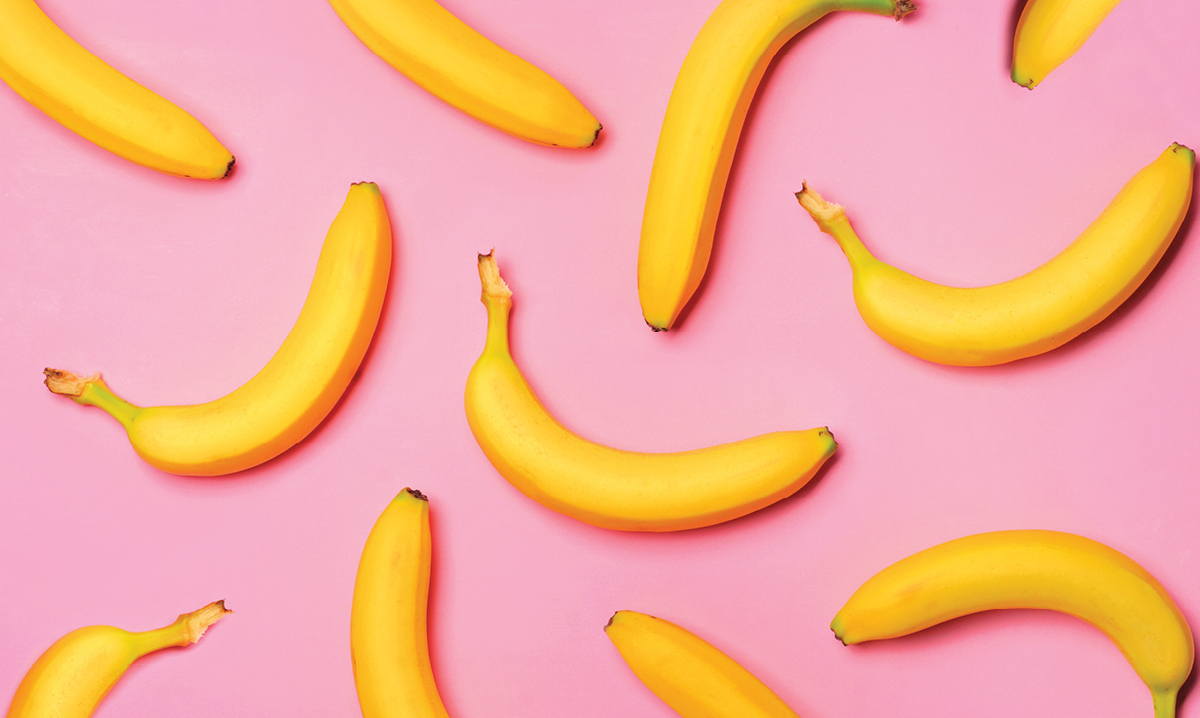 national friendship day and other august facts