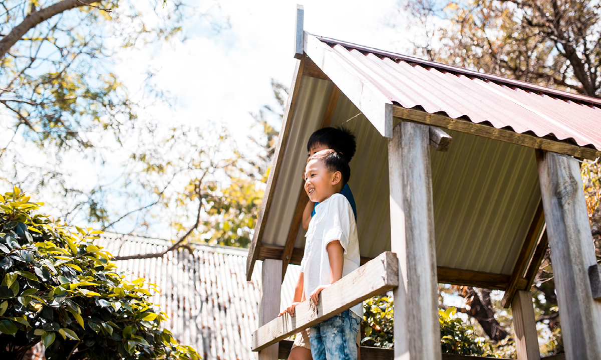 Treehouse building rules and tips