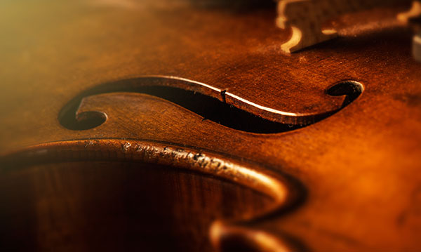 tiny tots and young people's family concert series