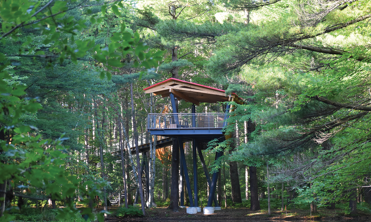 canopy walk at whiting forest of dow gardens in midland