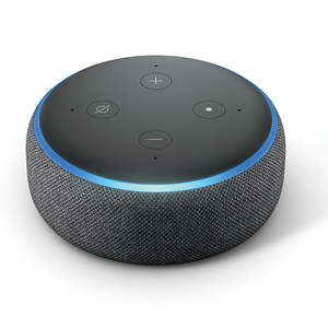 holiday gift guide 2018 echo dot 