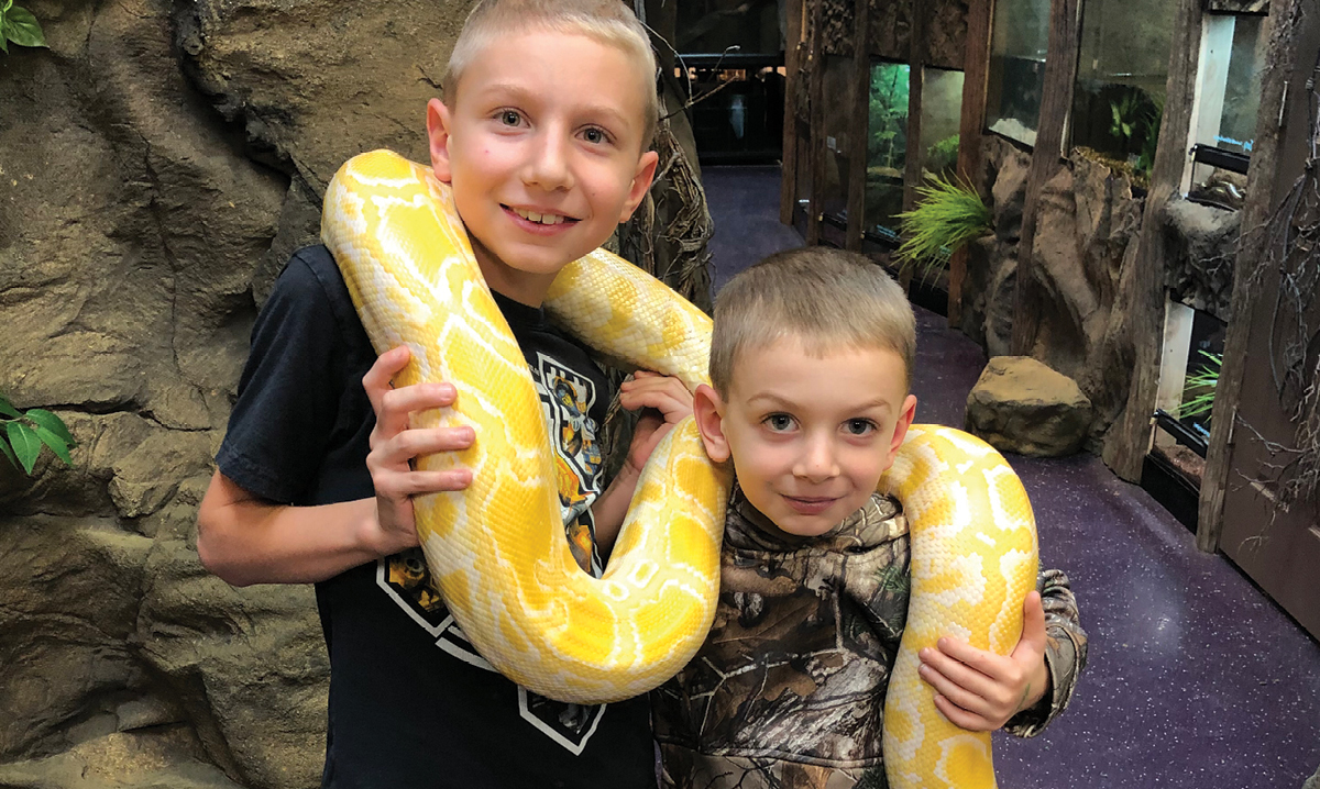 the reptarium in utica