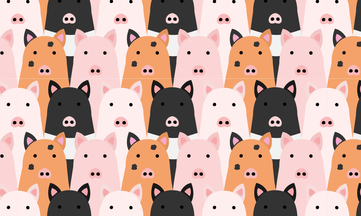 Chinese new year, groundhog day and other fun February stats