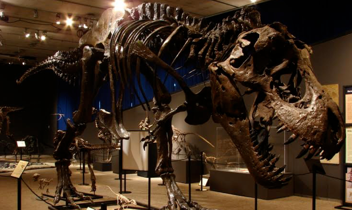 Doom of the dinosaurs exhibit at Cranbrook Institute of Science