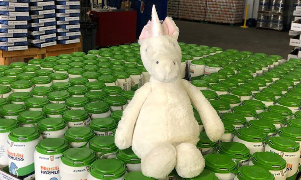 Houston Brewery has fun with lost unicorn toy