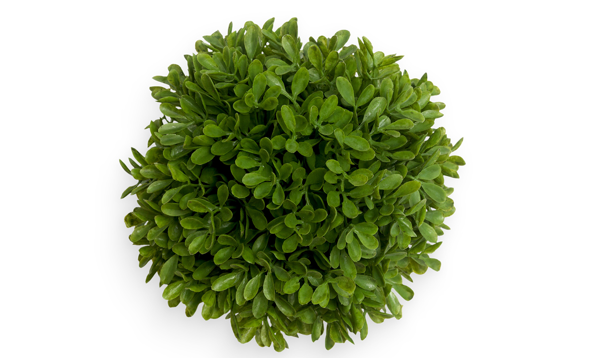 macomb-county-tree-plant-and-shrub-sale