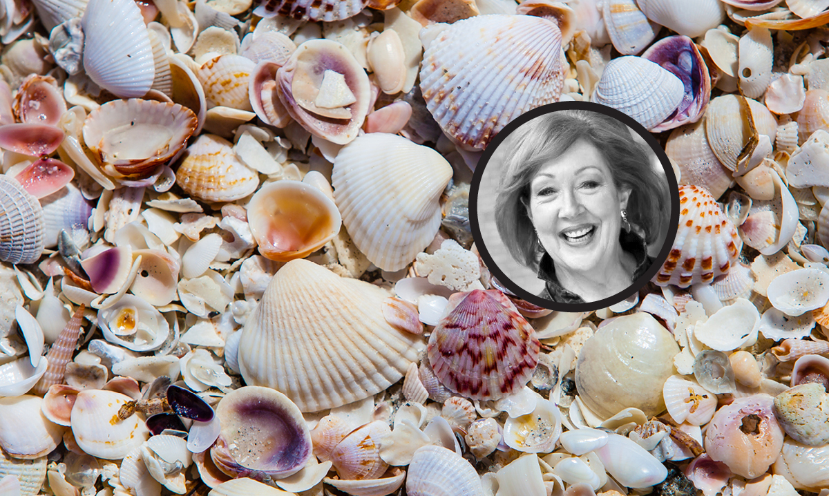 A pile of seashells with an inset of author Cindy La Ferle