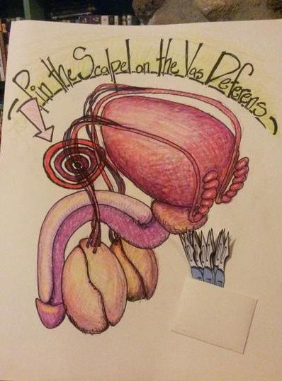 Pin the scalpel on the balls game