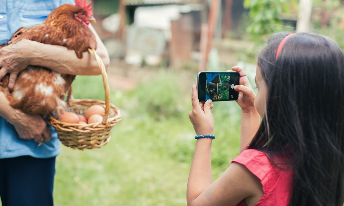 A young girl takes a smartphone video of a person holding a chicken and basket of eggs
