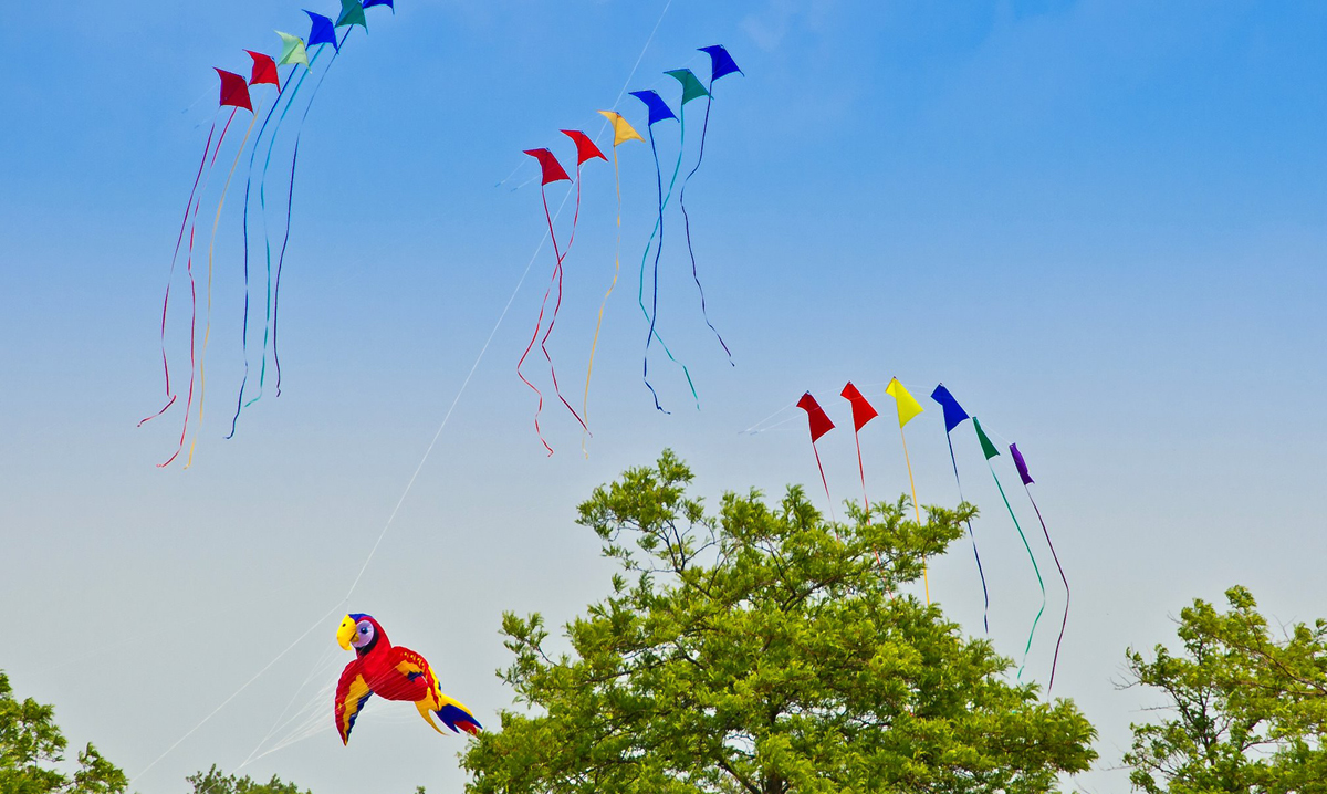 Four kites flying near a tree at the lyon township kite festival