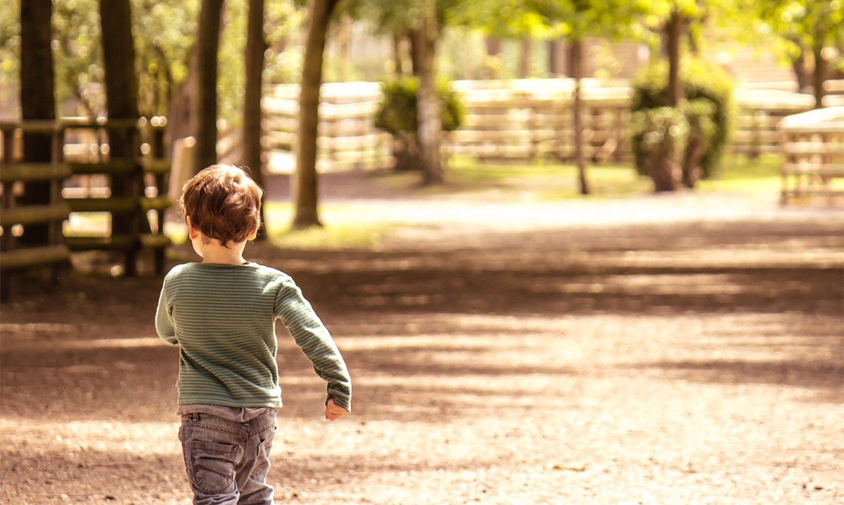 A young boy walking away from the camera on a sunny path surrounded by trees.