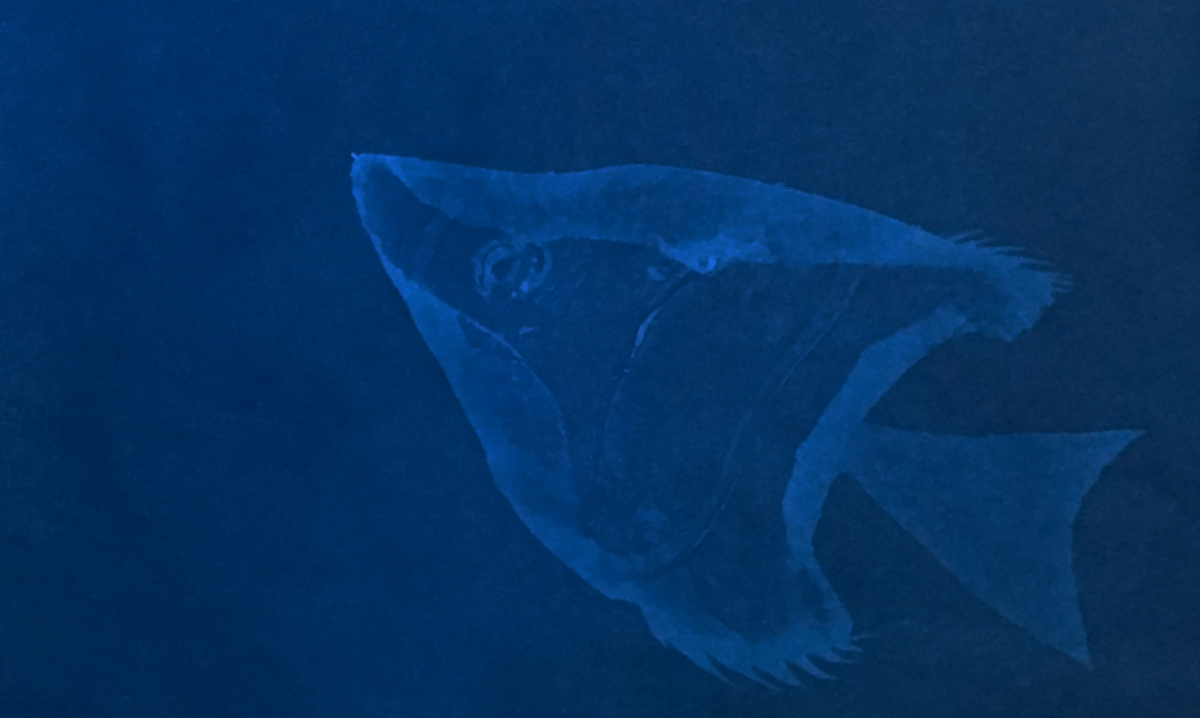 Image of a display from the DEPTH Water Exhibit