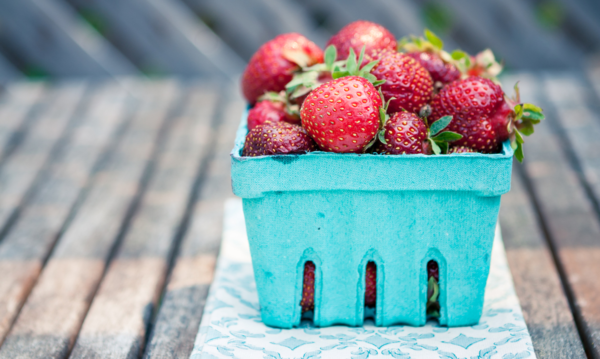 u-pick-farms-in-macomb-county