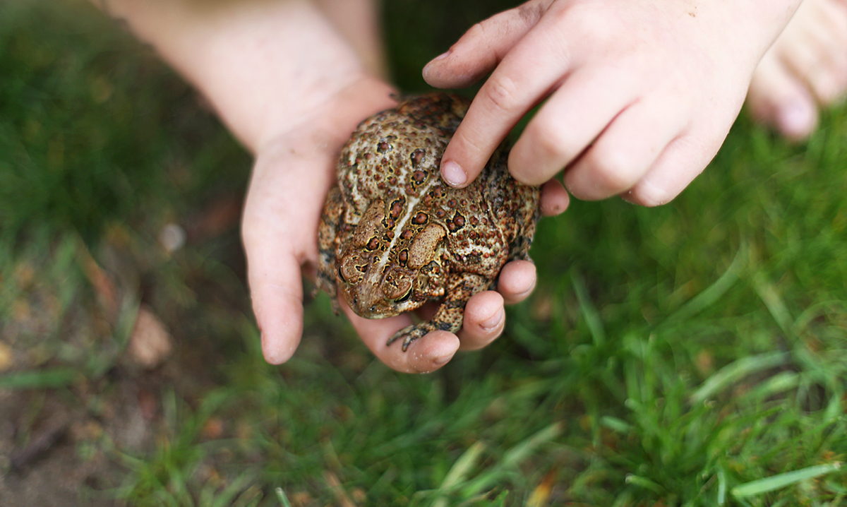 nature-centers-in-macomb-county