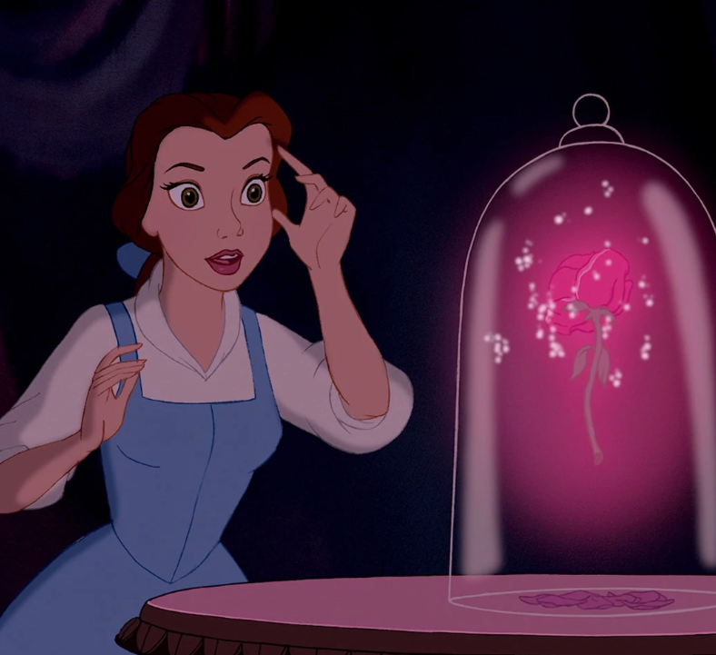Belle from Disney's beauty and the beast looks at rose