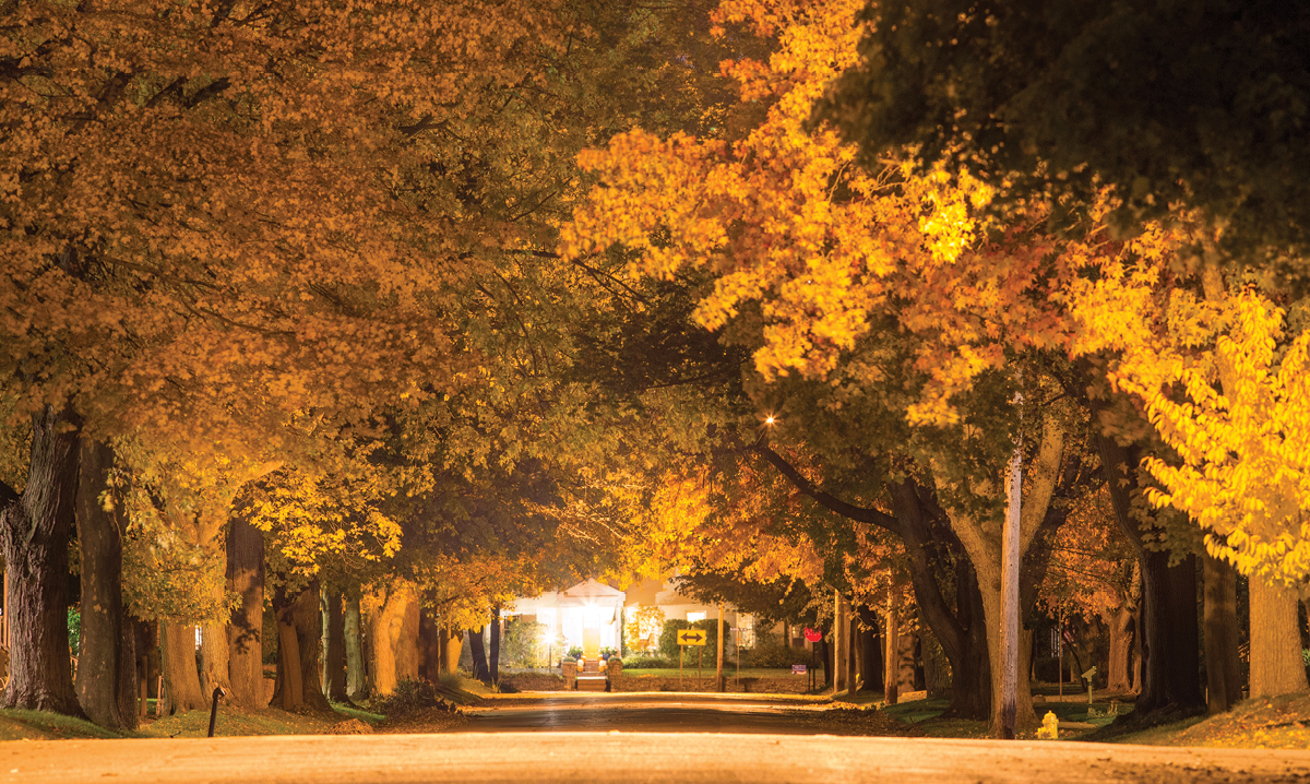 3 Leaf Peeping Season Highlights in Michigan and Beyond A line of trees changing colors