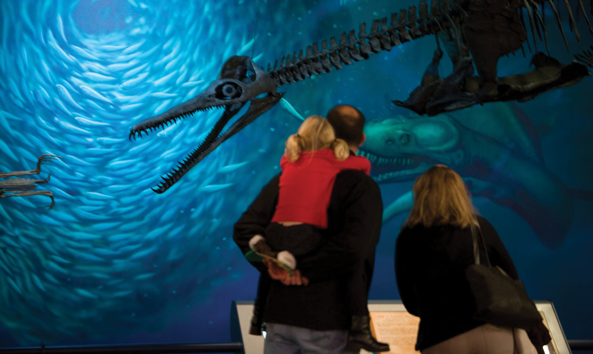 A family looking at a display at a natural history museum