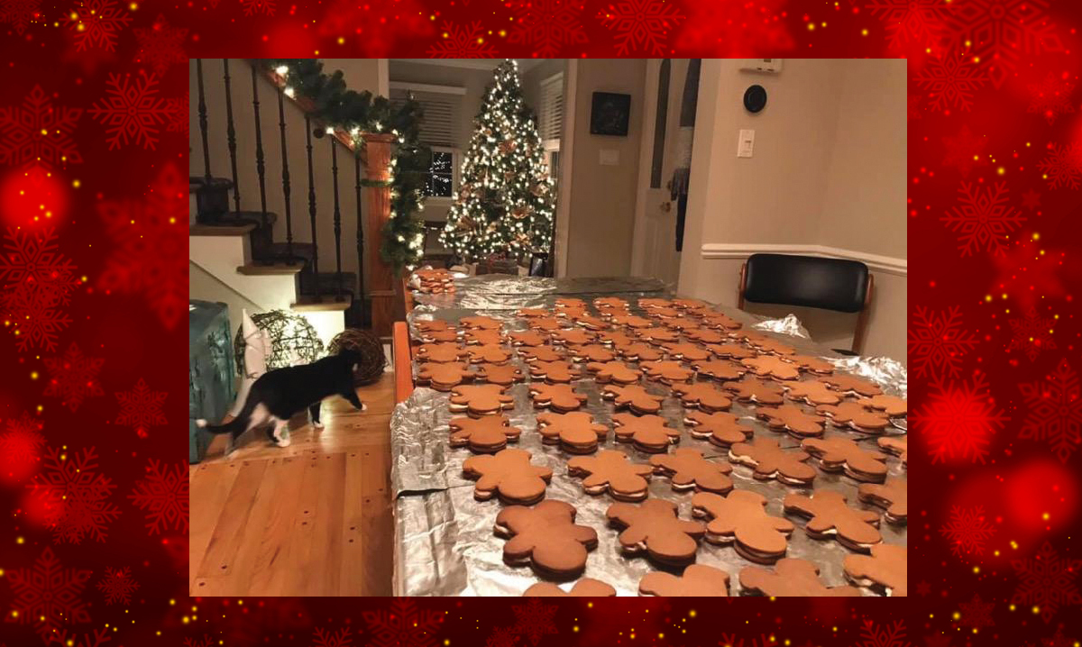 Gingerbread cookies spread on a table with a christmas tree in the background