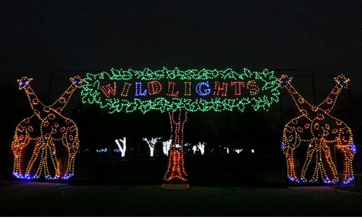 Wild Lights at the Detroit Zoo