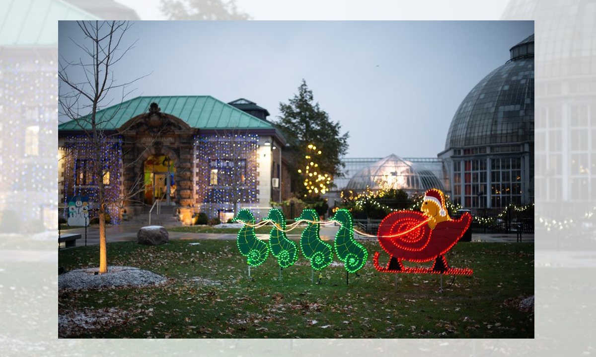 A light display at the Belle Isle Holiday Stroll