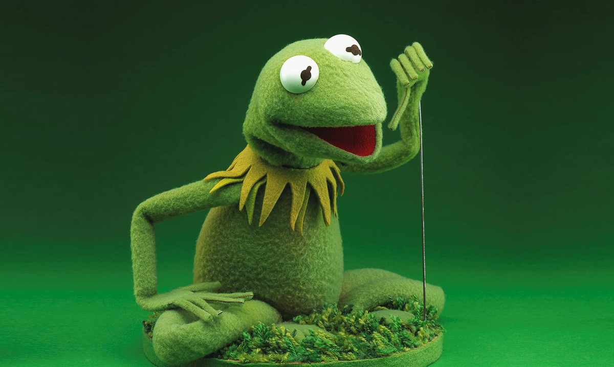 Kermit the Frog puppet on a green background