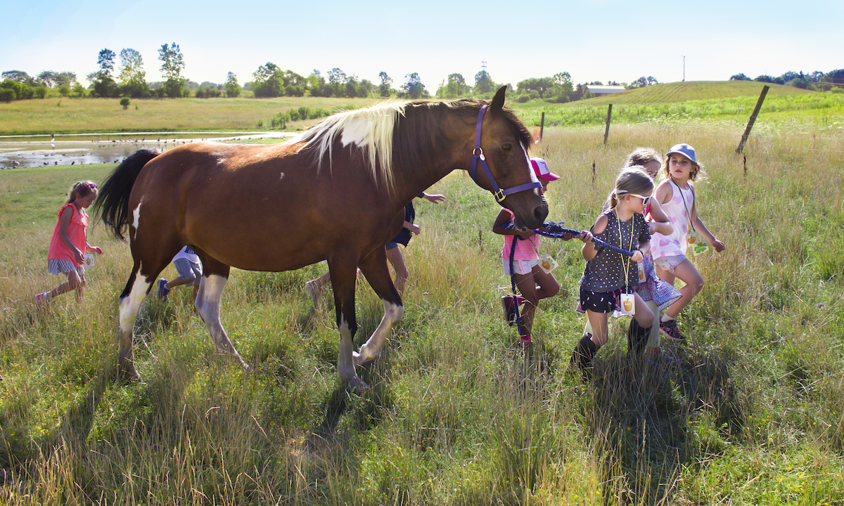 Bloomfield Hills Schools’ Summer Camps Offer Continued Learning