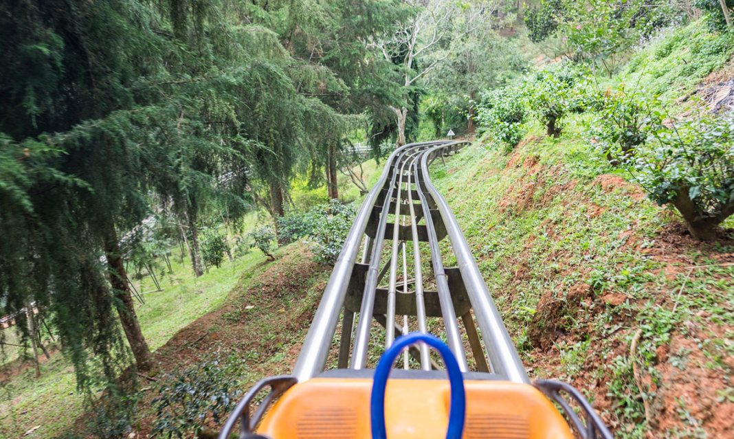 POV of a mountain coaster