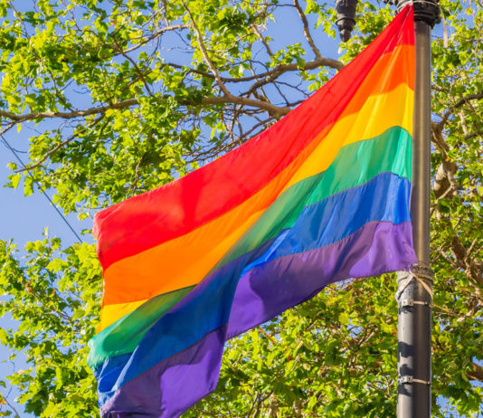 DIA Behind the Seen: Art|Pride pride-events-in-metro-detroit-and-ann-arbor-stock