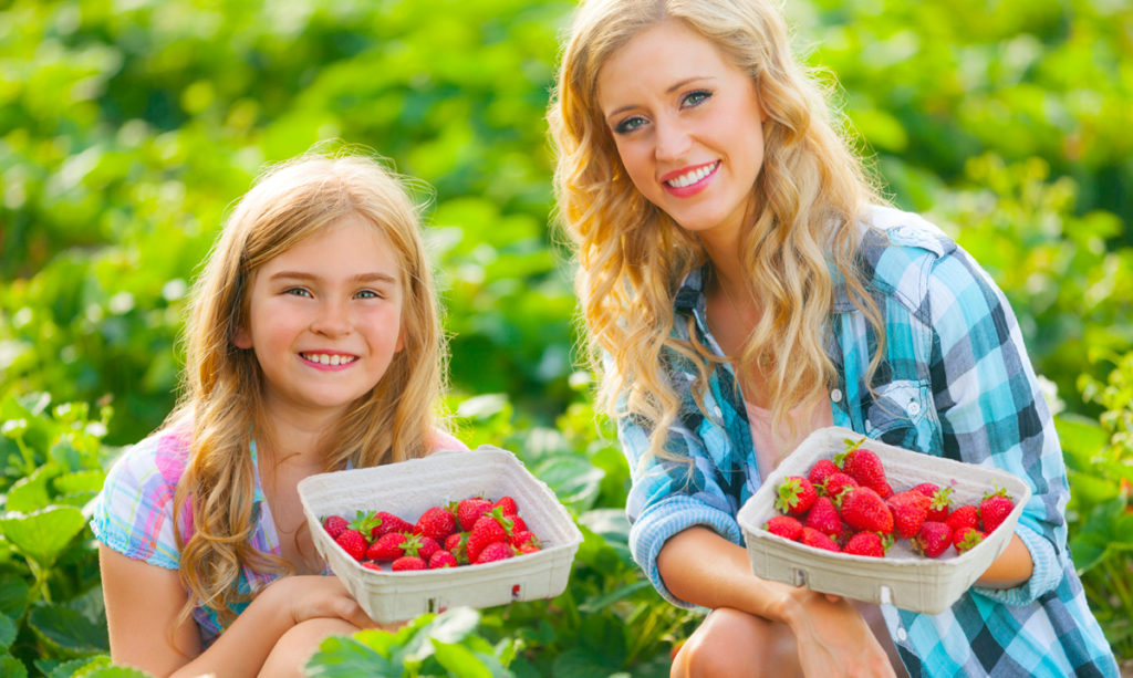 u-pick-berry-farms-in-metro-detroit-and-ann-arbor-istock