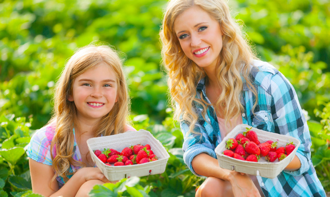 u-pick-berry-farms-in-metro-detroit-and-ann-arbor-istock