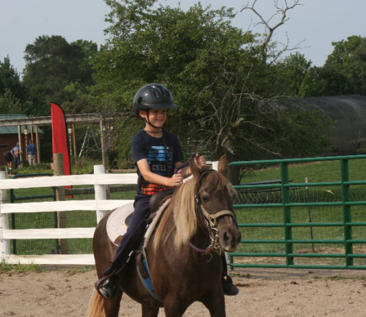 MSU Extension Tollgate Farm Camps