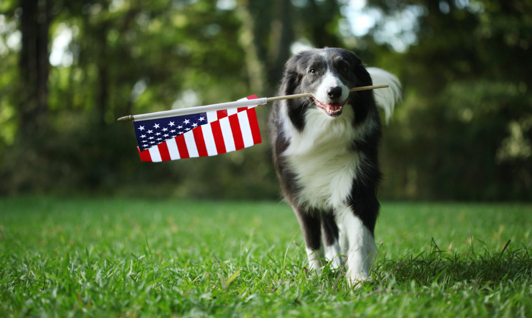 the-ultimate-at-home-labor-day-stock