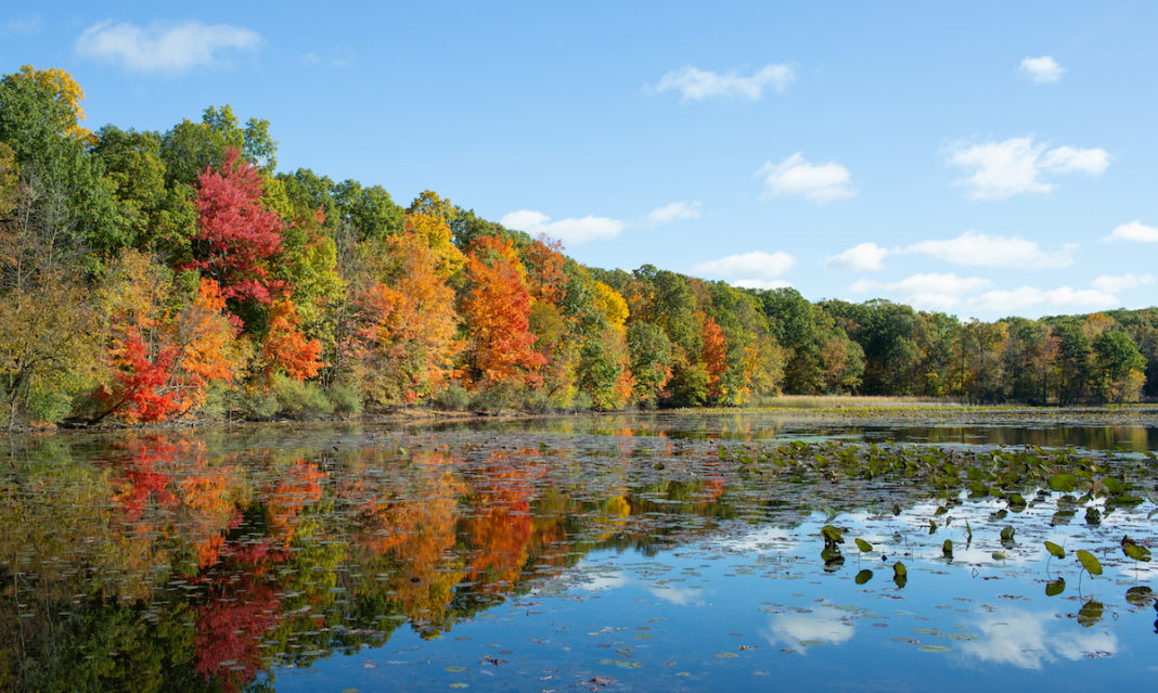 Huron-Clinton-Metroparks-LetsGo-0920