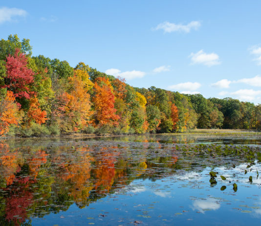 Huron-Clinton-Metroparks-LetsGo-0920
