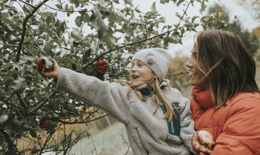 0920-letsgo-branded-traversecitytourism