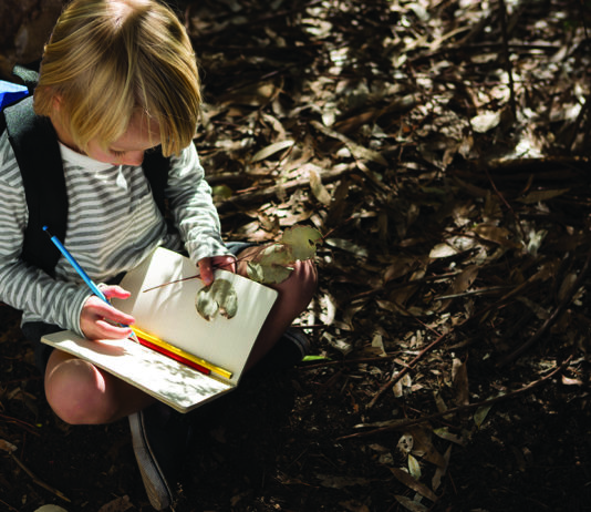 Explore Michigan’s Wildlife With Nature at Home MP-branded-MichiganWildlifeCouncil-1020