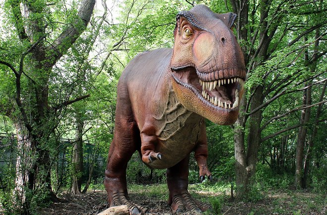 A statue of a T-rex in the forest from the Detroit Zoo