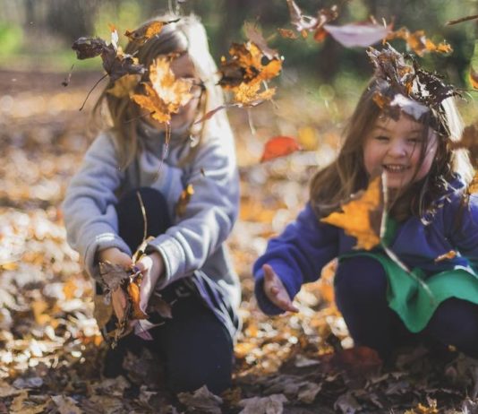 outdoor-fall-activities-in-metro-detroit-and-ann-arbor-pexels
