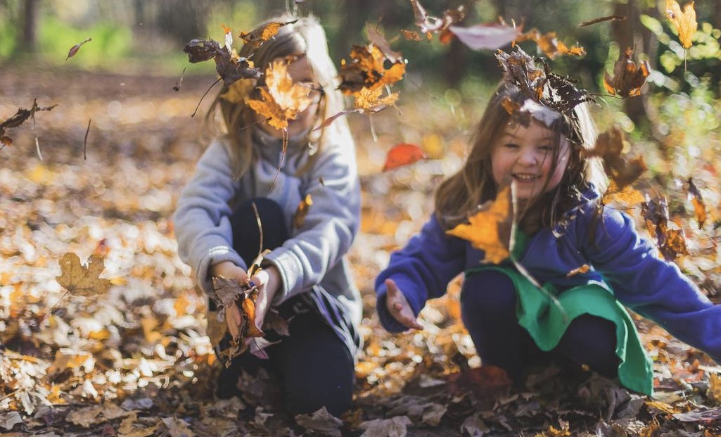 outdoor-fall-activities-in-metro-detroit-and-ann-arbor-pexels