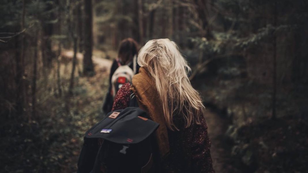 The back of two people on a hike in the woods